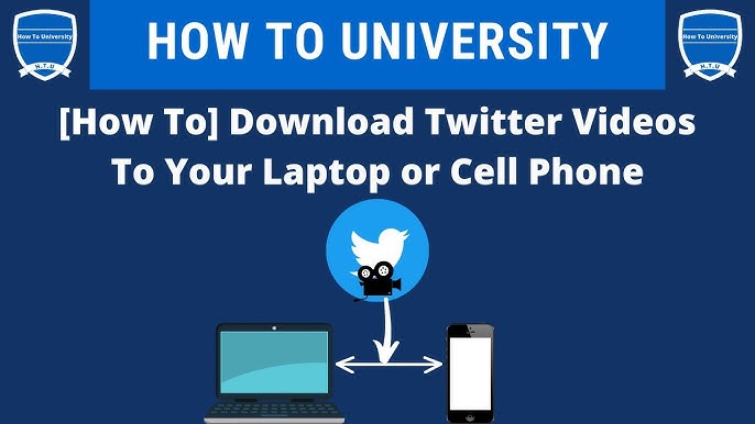 How to Download Twitter Videos on Your Phone and Computer