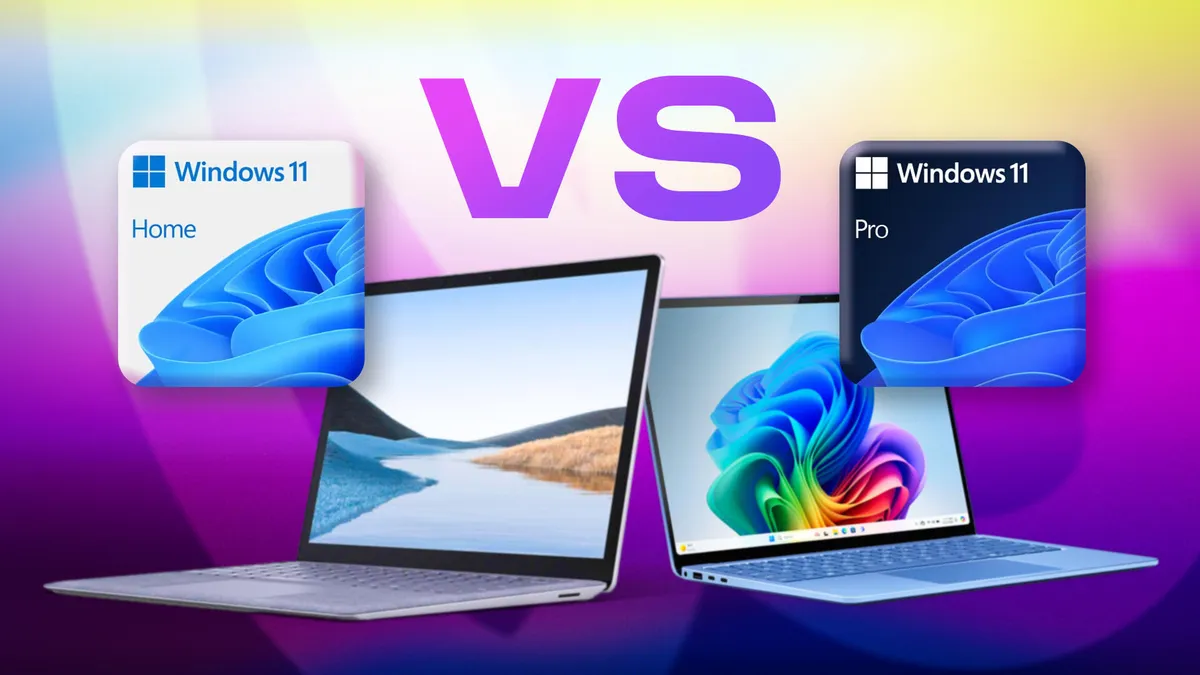الفرق بين Windows 11 Home وPro